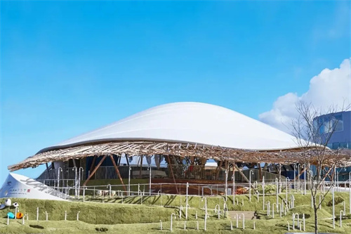 暑假來(lái)啦，佛蘭空間為您分享兒童友好無(wú)障礙館「水母館」